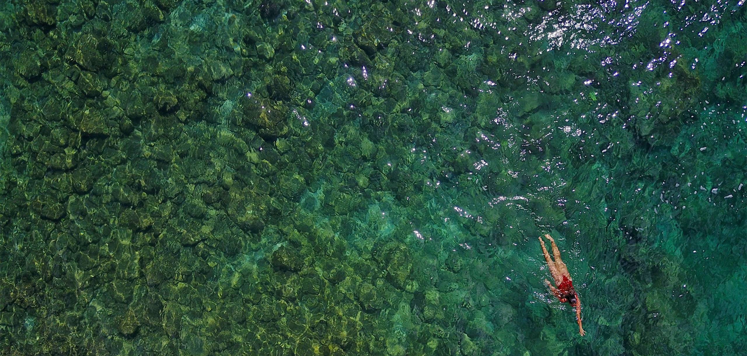 Swimming in waters of Maui Swimming in waters of Maui